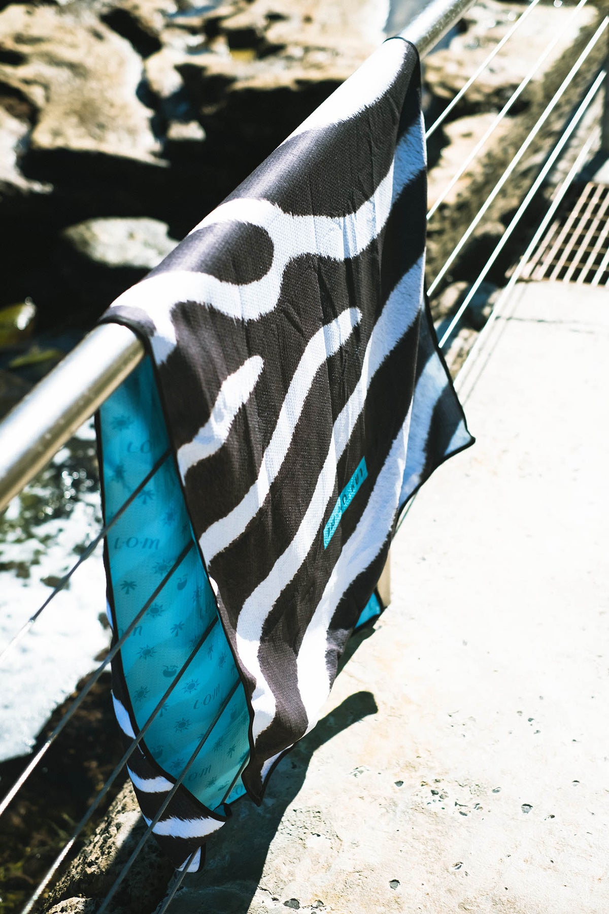 The Zebra - 11